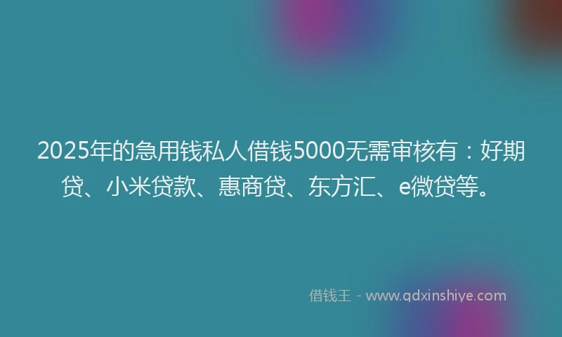 2025年的急用钱私人借钱5000无需审核有：好期贷、小米贷款、惠商贷、东方汇、e微贷等。