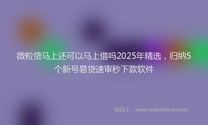 微粒贷马上还可以马上借吗2025年精选，归纳5个新号易贷速审秒下款软件