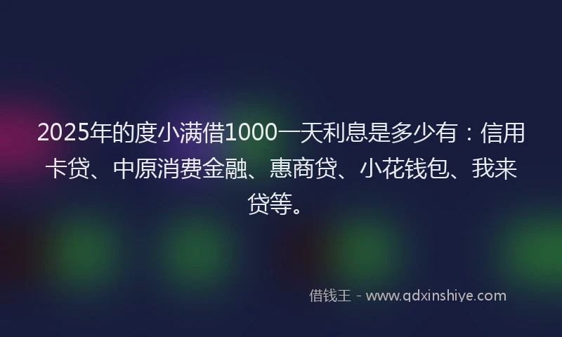 2025年的度小满借1000一天利息是多少有：信用卡贷、中原消费金融、惠商贷、小花钱包、我来贷等。