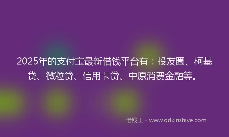 2025年的支付宝最新借钱平台有：投友圈、柯基贷、微粒贷、信用卡贷、中原消费金融等。