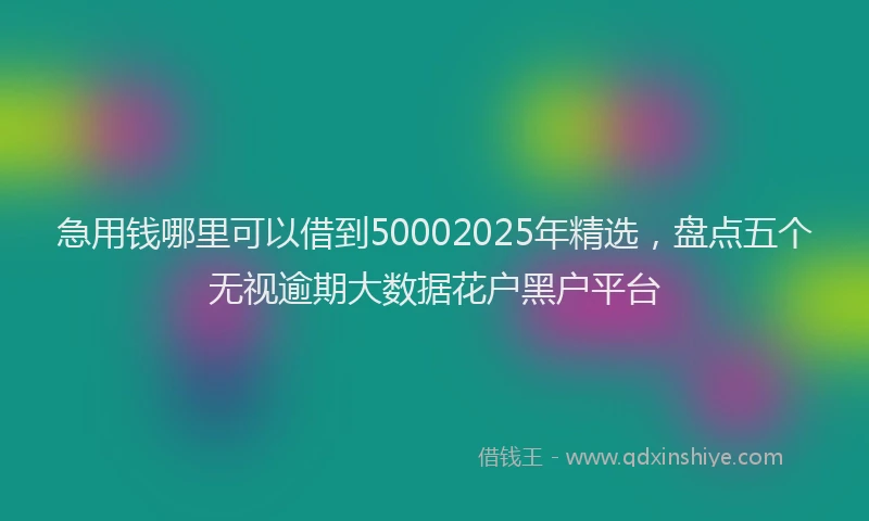 急用钱哪里可以借到50002025年精选，盘点五个无视逾期大数据花户黑户平台