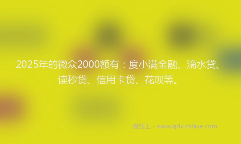 2025年的微众2000额有：度小满金融、滴水贷、读秒贷、信用卡贷、花呗等。