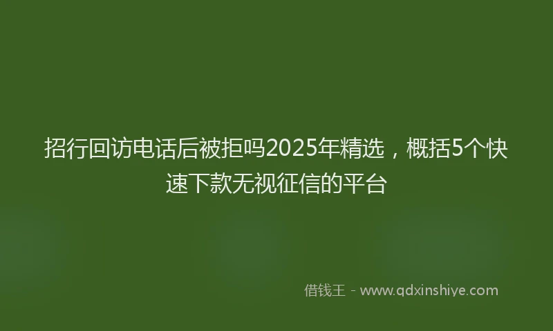 招行回访电话后被拒吗2025年精选，概括5个快速下款无视征信的平台