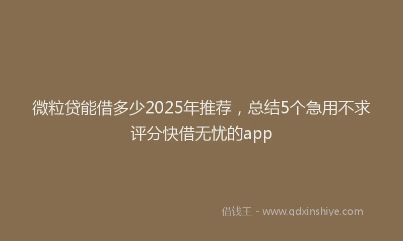 微粒贷能借多少2025年推荐，总结5个急用不求评分快借无忧的app