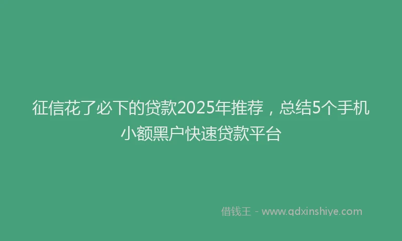 征信花了必下的贷款2025年推荐，总结5个手机小额黑户快速贷款平台