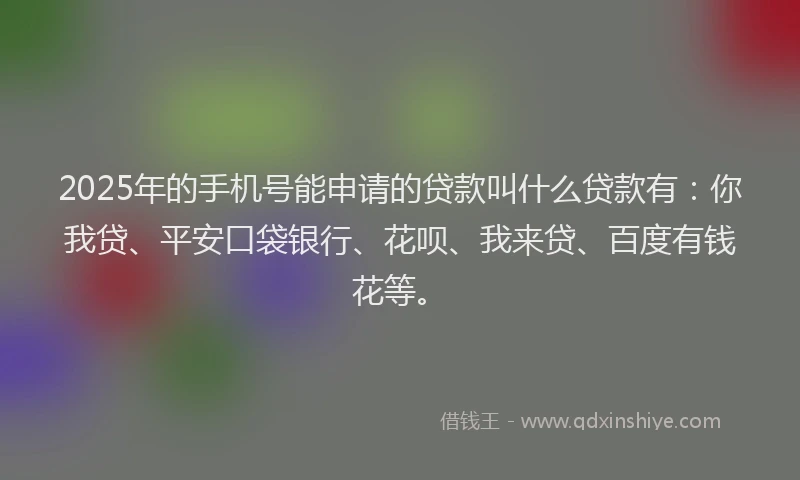 2025年的手机号能申请的贷款叫什么贷款有：你我贷、平安口袋银行、花呗、我来贷、百度有钱花等。