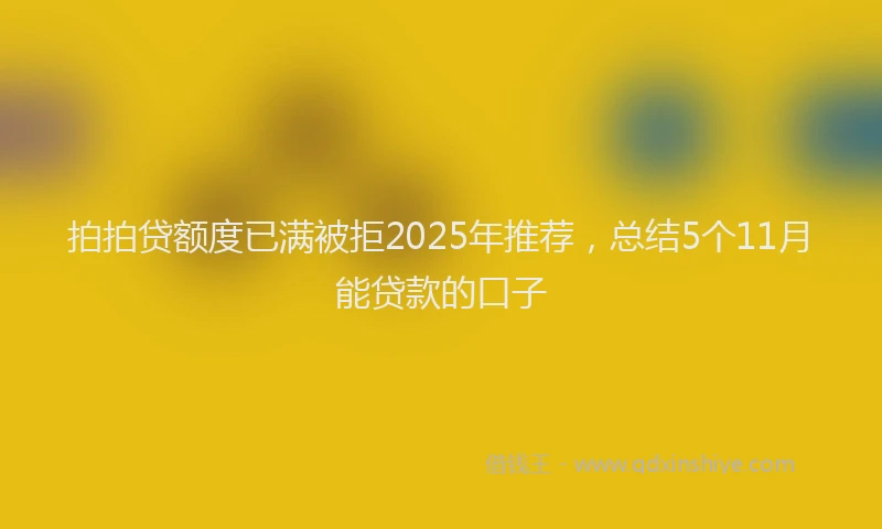 拍拍贷额度已满被拒2025年推荐，总结5个11月能贷款的口子