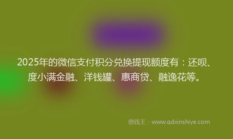 2025年的微信支付积分兑换提现额度有：还呗、度小满金融、洋钱罐、惠商贷、融逸花等。