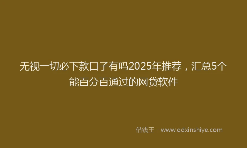 无视一切必下款口子有吗2025年推荐，汇总5个能百分百通过的网贷软件