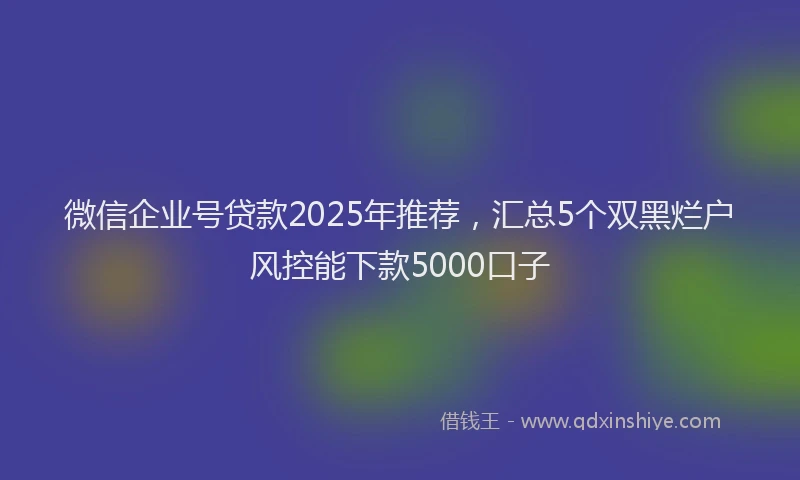 微信企业号贷款2025年推荐，汇总5个双黑烂户风控能下款5000口子