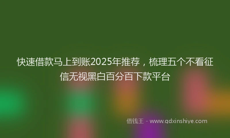 快速借款马上到账2025年推荐，梳理五个不看征信无视黑白百分百下款平台
