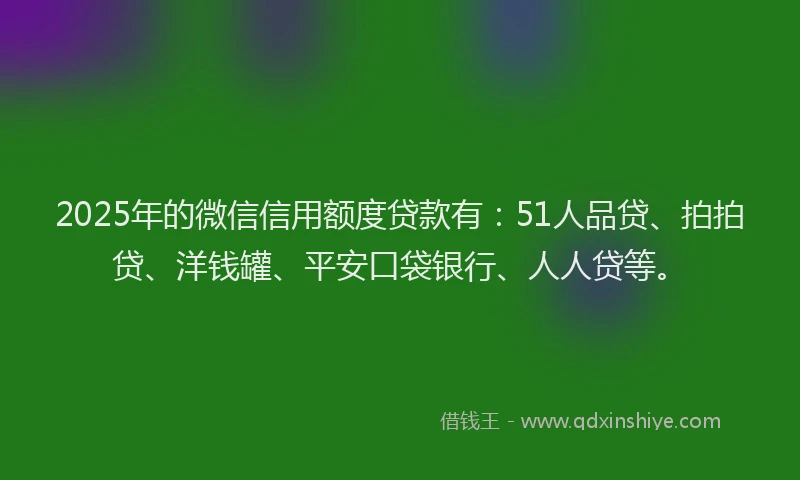 2025年的微信信用额度贷款有：51人品贷、拍拍贷、洋钱罐、平安口袋银行、人人贷等。
