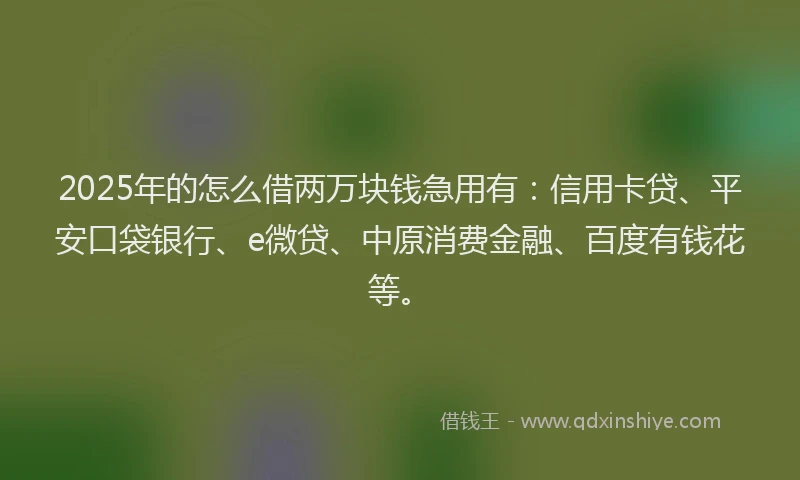 2025年的怎么借两万块钱急用有：信用卡贷、平安口袋银行、e微贷、中原消费金融、百度有钱花等。