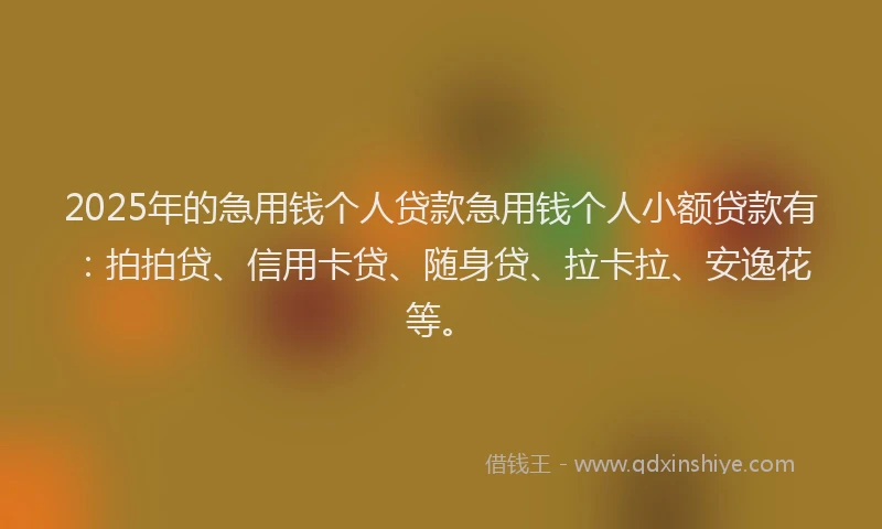 2025年的急用钱个人贷款急用钱个人小额贷款有：拍拍贷、信用卡贷、随身贷、拉卡拉、安逸花等。