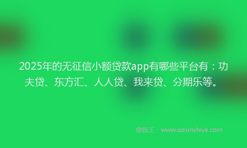 2025年的无征信小额贷款app有哪些平台有：功夫贷、东方汇、人人贷、我来贷、分期乐等。