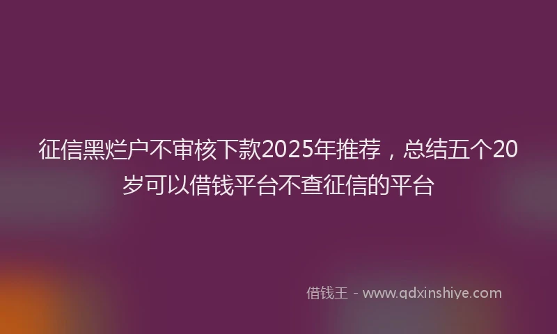 征信黑烂户不审核下款2025年推荐，总结五个20岁可以借钱平台不查征信的平台
