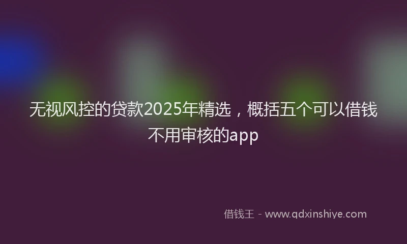 无视风控的贷款2025年精选，概括五个可以借钱不用审核的app