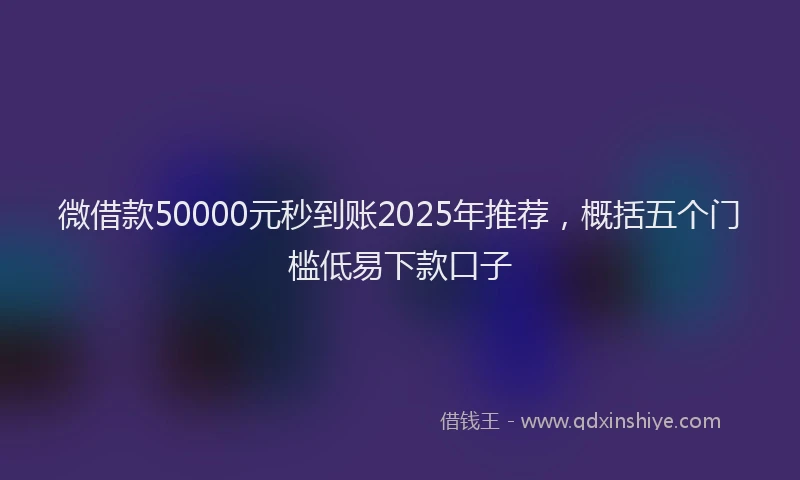 微借款50000元秒到账2025年推荐，概括五个门槛低易下款口子