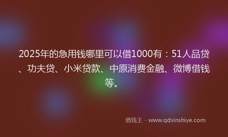 2025年的急用钱哪里可以借1000有：51人品贷、功夫贷、小米贷款、中原消费金融、微博借钱等。