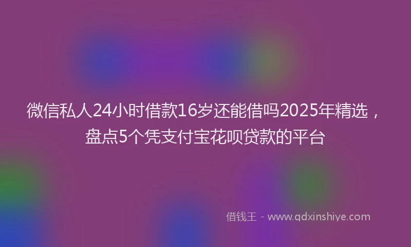 微信私人24小时借款16岁还能借吗2025年精选，盘点5个凭支付宝花呗贷款的平台