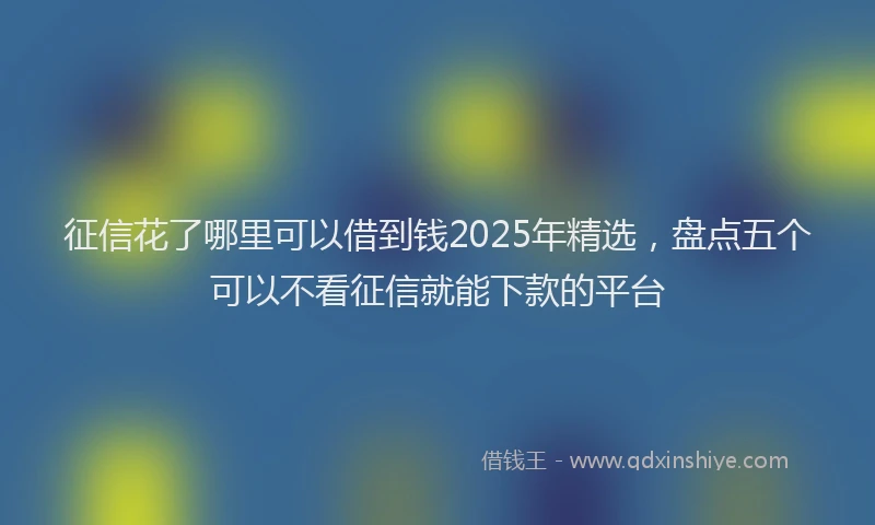 征信花了哪里可以借到钱2025年精选，盘点五个可以不看征信就能下款的平台