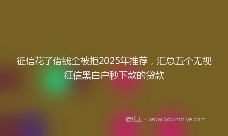 征信花了借钱全被拒2025年推荐，汇总五个无视征信黑白户秒下款的贷款