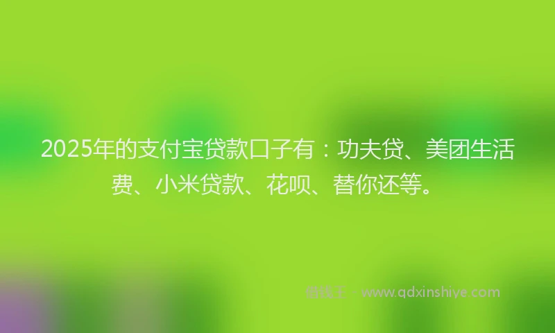 2025年的支付宝贷款口子有：功夫贷、美团生活费、小米贷款、花呗、替你还等。