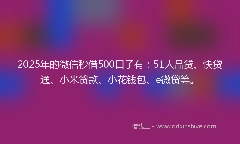 2025年的微信秒借500口子有：51人品贷、快贷通、小米贷款、小花钱包、e微贷等。