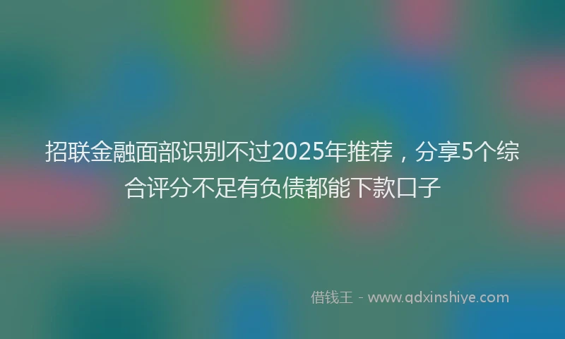 招联金融面部识别不过2025年推荐，分享5个综合评分不足有负债都能下款口子