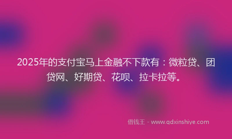 2025年的支付宝马上金融不下款有：微粒贷、团贷网、好期贷、花呗、拉卡拉等。