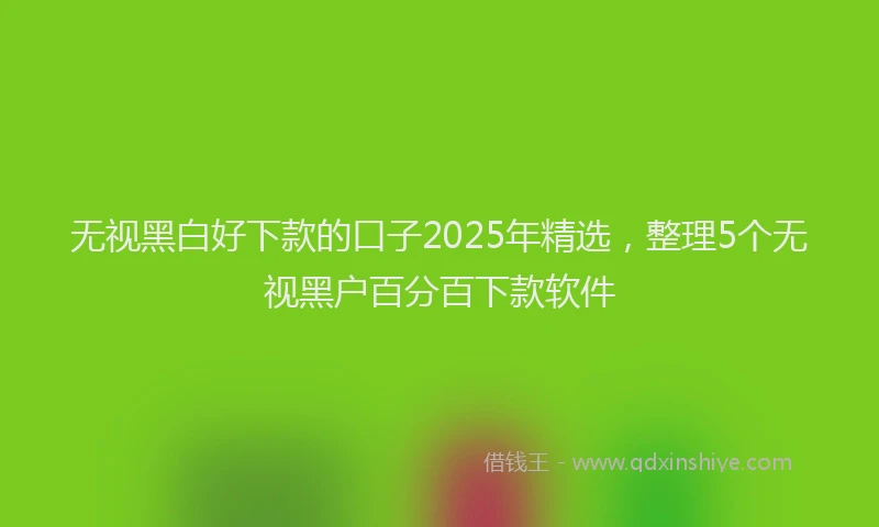 无视黑白好下款的口子2025年精选，整理5个无视黑户百分百下款软件