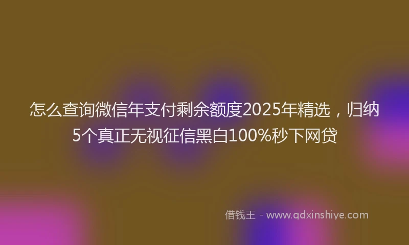 怎么查询微信年支付剩余额度2025年精选，归纳5个真正无视征信黑白100%秒下网贷