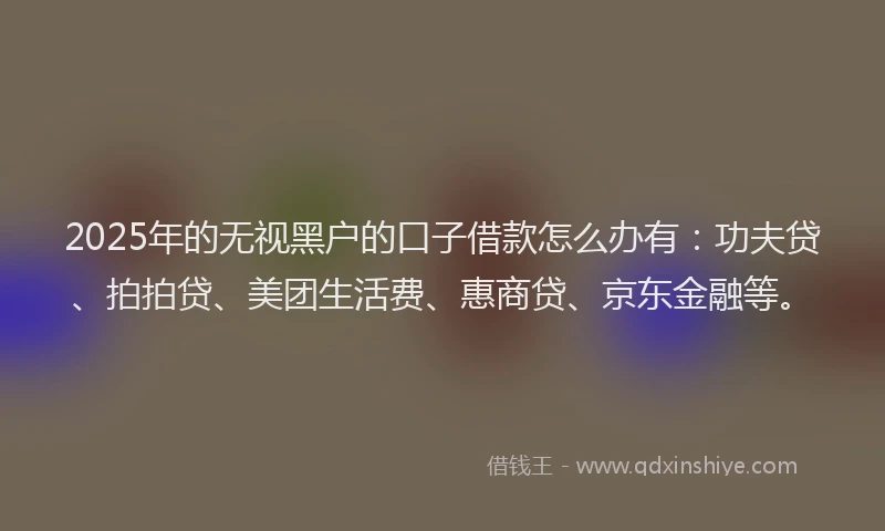 2025年的无视黑户的口子借款怎么办有：功夫贷、拍拍贷、美团生活费、惠商贷、京东金融等。