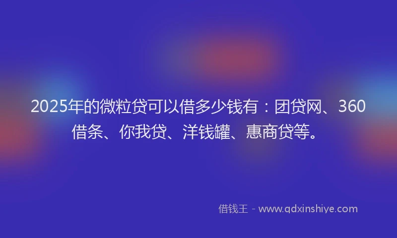 2025年的微粒贷可以借多少钱有：团贷网、360借条、你我贷、洋钱罐、惠商贷等。