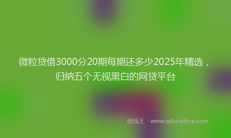 微粒贷借3000分20期每期还多少2025年精选，归纳五个无视黑白的网贷平台