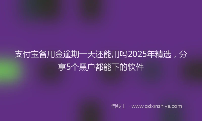 支付宝备用金逾期一天还能用吗2025年精选，分享5个黑户都能下的软件