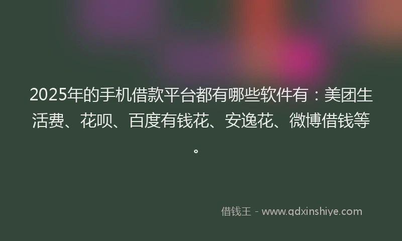 2025年的手机借款平台都有哪些软件有：美团生活费、花呗、百度有钱花、安逸花、微博借钱等。
