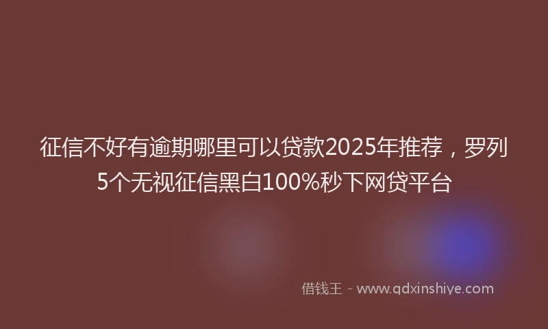 征信不好有逾期哪里可以贷款2025年推荐，罗列5个无视征信黑白100%秒下网贷平台
