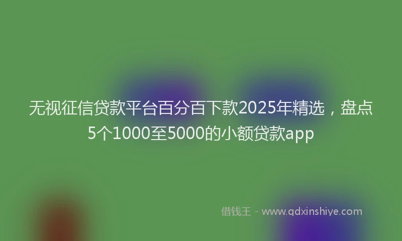 无视征信贷款平台百分百下款2025年精选，盘点5个1000至5000的小额贷款app