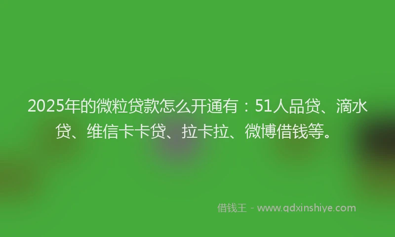 2025年的微粒贷款怎么开通有：51人品贷、滴水贷、维信卡卡贷、拉卡拉、微博借钱等。