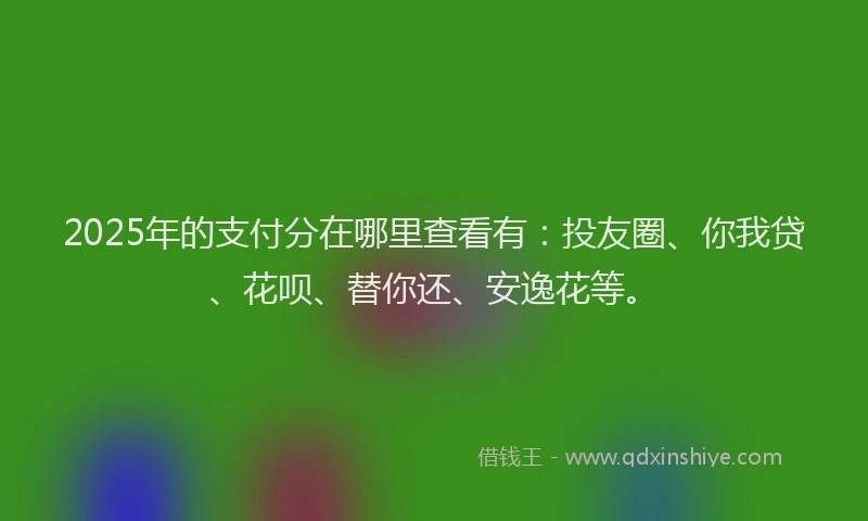 2025年的支付分在哪里查看有：投友圈、你我贷、花呗、替你还、安逸花等。