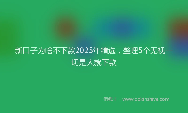 新口子为啥不下款2025年精选，整理5个无视一切是人就下款