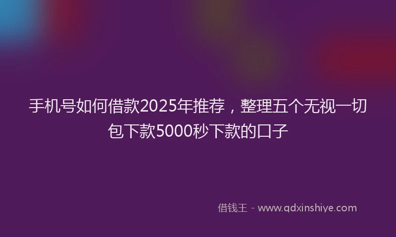 手机号如何借款2025年推荐，整理五个无视一切包下款5000秒下款的口子