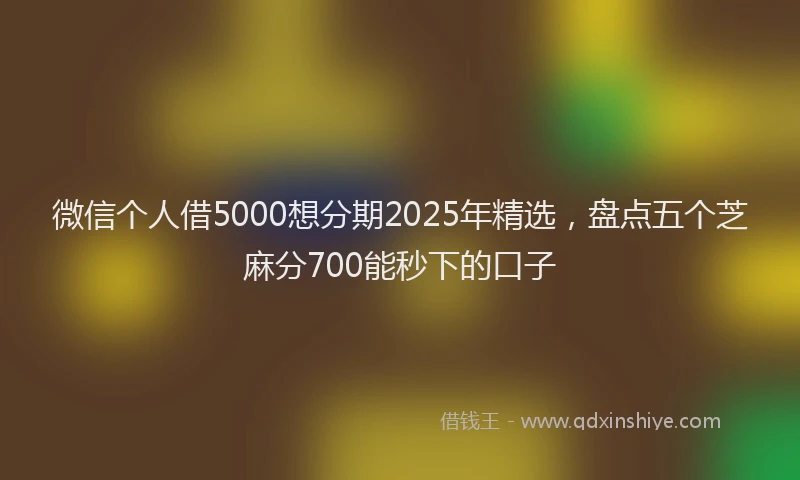 微信个人借5000想分期2025年精选，盘点五个芝麻分700能秒下的口子