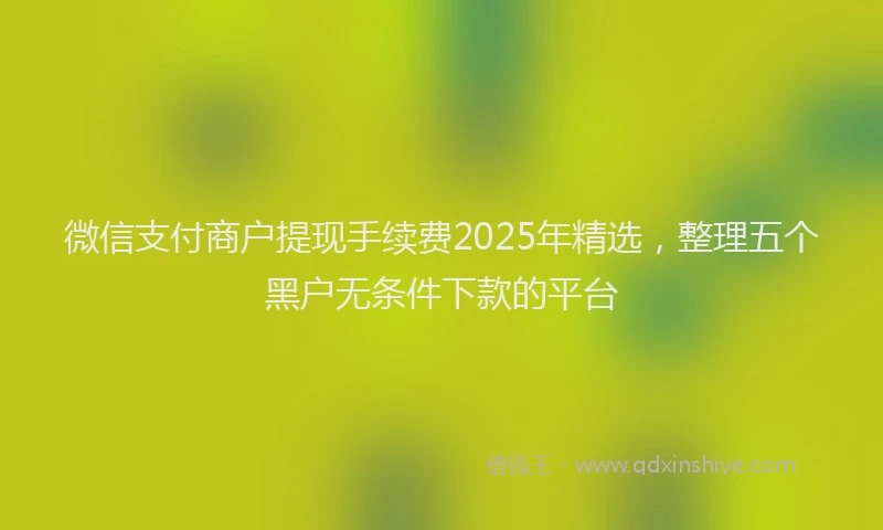 微信支付商户提现手续费2025年精选，整理五个黑户无条件下款的平台