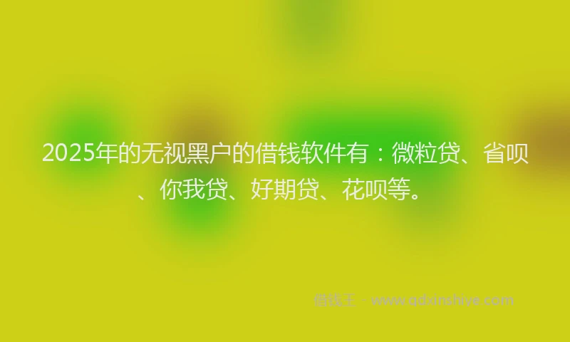 2025年的无视黑户的借钱软件有：微粒贷、省呗、你我贷、好期贷、花呗等。