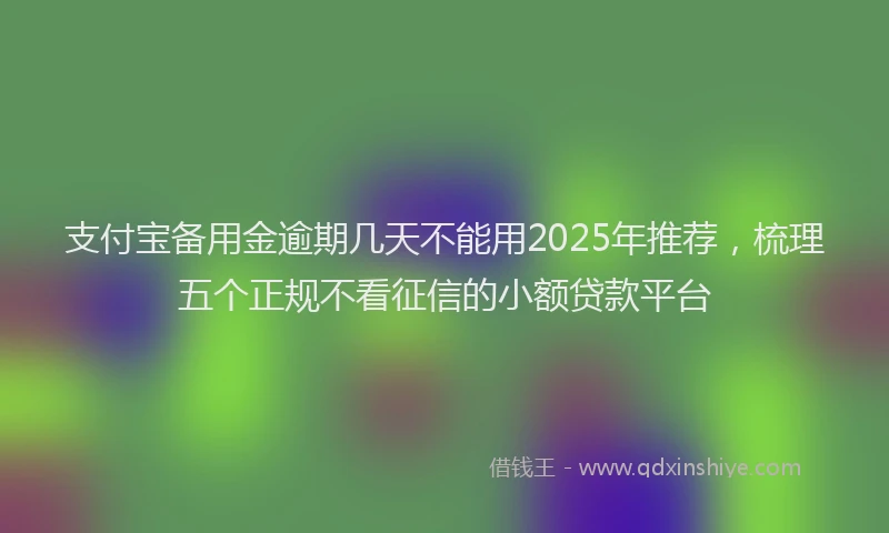 支付宝备用金逾期几天不能用2025年推荐，梳理五个正规不看征信的小额贷款平台
