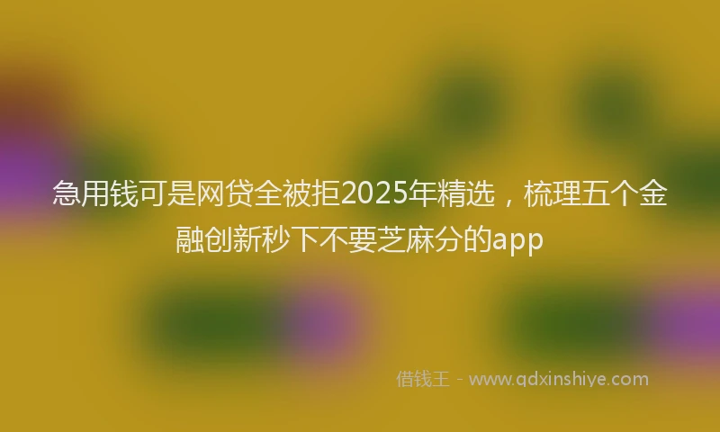 急用钱可是网贷全被拒2025年精选，梳理五个金融创新秒下不要芝麻分的app