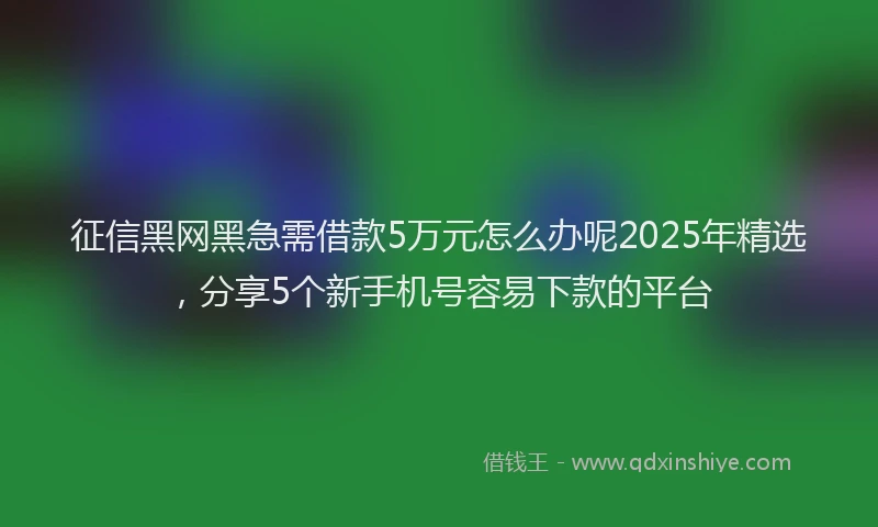 征信黑网黑急需借款5万元怎么办呢2025年精选，分享5个新手机号容易下款的平台