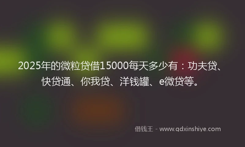 2025年的微粒贷借15000每天多少有：功夫贷、快贷通、你我贷、洋钱罐、e微贷等。